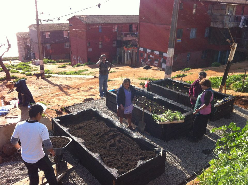 Intentional Communities & Cohousing